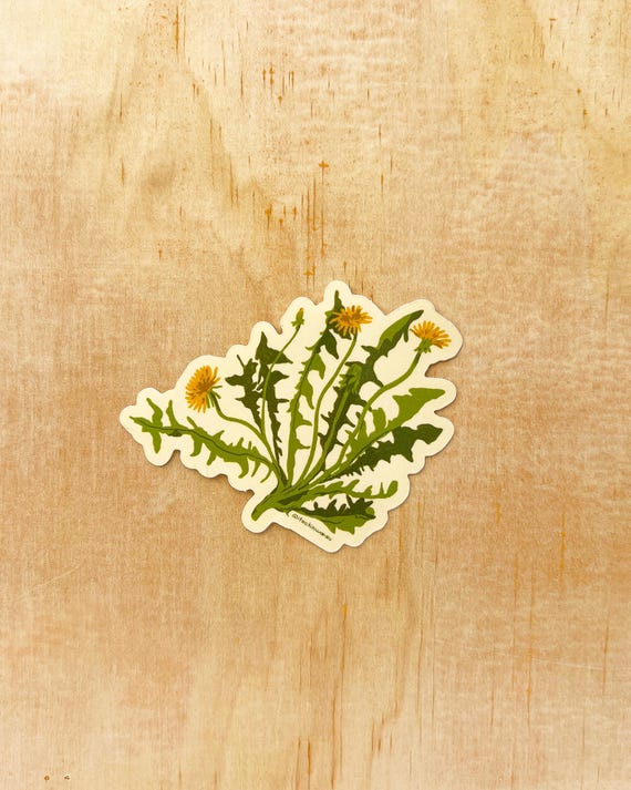 Dandelion Sticker | healing plants, herbalism, botanical, spiritual, social justice, climate justice, feminist, protest art, liberation art