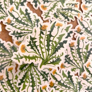 May include: A die-cut sticker featuring a botanical illustration of a dandelion plant with jagged, dark green leaves and multiple bright yellow flower heads. The design is set against a plain white background with a thin white border around the edges.