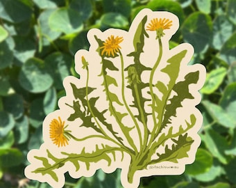 Dandelion Sticker | healing plants, herbalism art, botanical decal, nature, floral illustration, boho vinyl sticker, self care, cottagecore