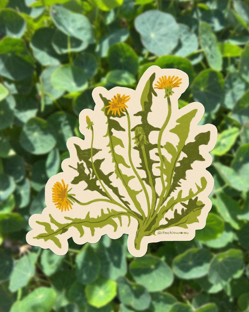 May include: A die-cut sticker featuring a botanical illustration of a dandelion plant with bright yellow flowers and jagged green leaves on a cream-colored background. The text @itschinwasu is printed in small black letters near the base of the plant.