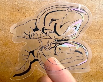 Oyster Shell Transparent Vinyl Sticker | ocean drawing art, seashell clear decal, beach artwork, black and white illustration, hand sticker