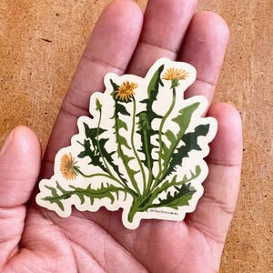 May include: A die-cut sticker featuring a botanical illustration of a dandelion plant with vibrant yellow flowers and jagged, deep green leaves. The artwork includes a small signature text at the bottom right corner that reads @itschinusu.