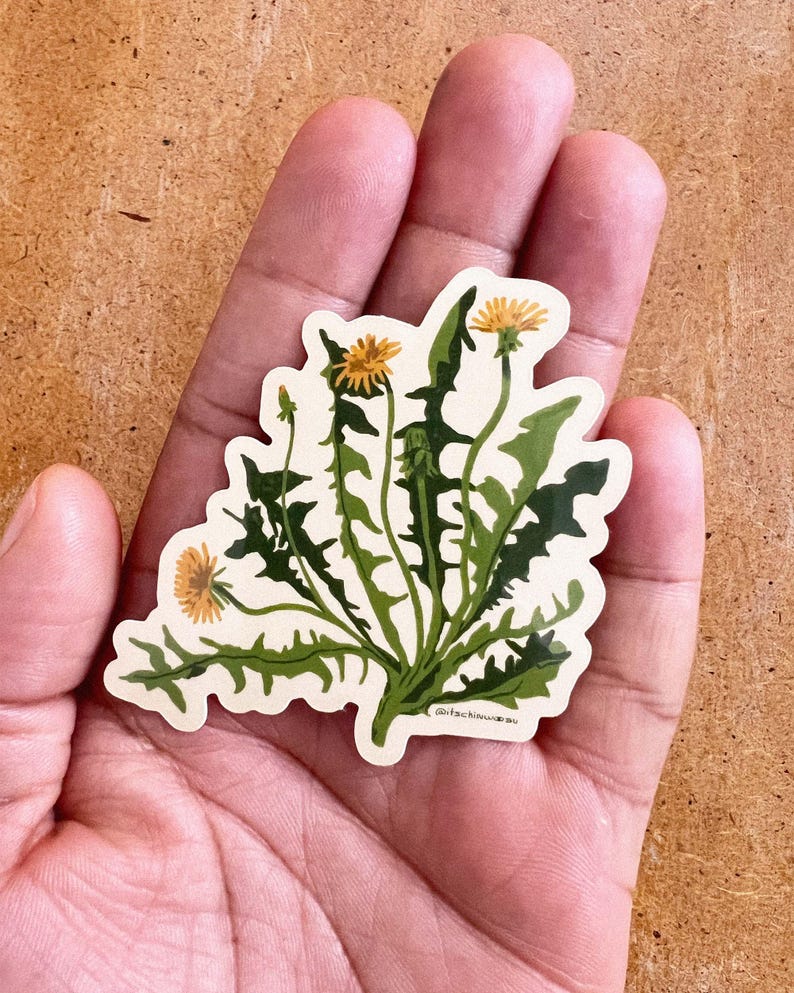 May include: A die-cut sticker featuring a botanical illustration of a dandelion plant with vibrant yellow flowers and jagged, deep green leaves. The artwork includes a small signature text at the bottom right corner that reads @itschinusu.