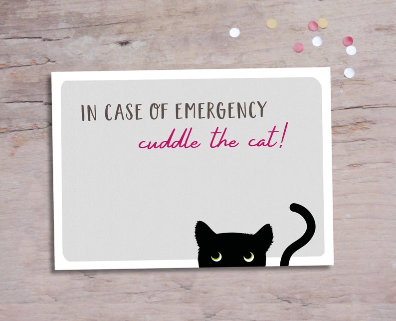 May include: A rectangular card with rounded corners features the text "IN CASE OF EMERGENCY cuddle the cat!" in brown and magenta. A black cat with yellow eyes peeks from the bottom. The card is on a light gray background with confetti.
