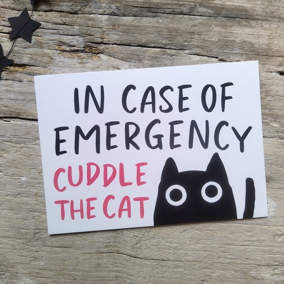 In case of Emergency cuddle the cat | Postkarte Humor Katze Katzenliebe Catlover