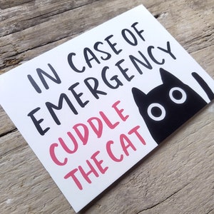 May include: A white card with the text "IN CASE OF EMERGENCY CUDDLE THE CAT" in black and pink. A black cat illustration with white eyes is on the right side of the card. The card is on a wooden surface.