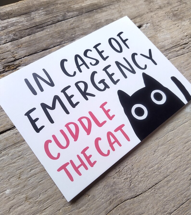 May include: A white card with the text "IN CASE OF EMERGENCY CUDDLE THE CAT" in black and pink. A black cat illustration with white eyes is on the right side of the card. The card is on a wooden surface.