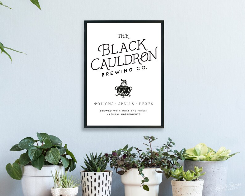 May include: Black and white print with the text "The Black Cauldron Brewing Co." and a cauldron with flames. The text below reads "Potions Spells Hexes Brewed with only the finest natural ingredients."