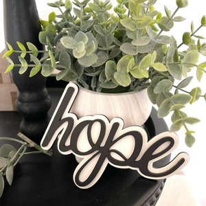 Op de afbeelding: Een zwart-wit houten bord met het woord "hope" in cursief. Het staat op een zwart oppervlak, met een kleine witte keramische pot gevuld met groene bladeren op de achtergrond. Het bord is een decoratief item.
