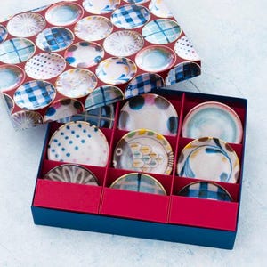 Japanese Brush Color Small Plate Set – 9pcs Porcelain Dishes by Awasaka | Made in Japan Gift for All Occasions| Forgot Souvenir