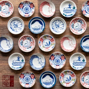 Dinosaur Plate Set of 60 – Japanese Porcelain by Awasaka – Ceramic Collectible Dishes in Wooden Gift Box – Made in Japan