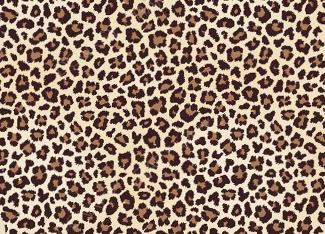 Monogram Leopard Print Decal Personalized Leopard Print Car Etsy