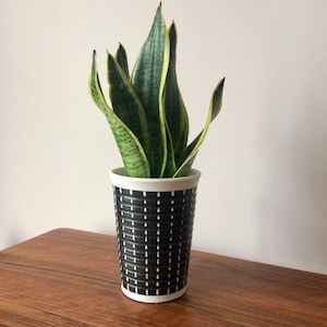 Può includere: Una pianta di Sansevieria in un vaso di ceramica a motivi bianchi e neri. La pianta ha lunghe foglie verdi con bordi gialli. Il vaso, alto circa 15 cm, presenta un motivo strutturato di linee verticali con trattini bianchi.