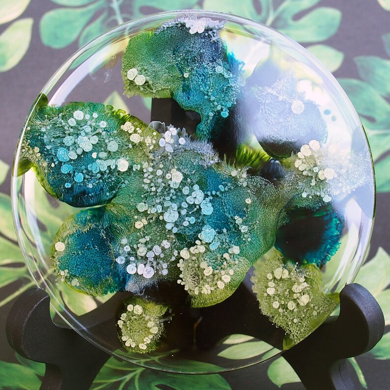 CUSTOM Resin Petri Dish Resin Art Resin Coaster One of a Etsy