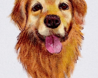 Hand-Drawn Pet Portrait – Custom Whimsical Illustration (Digital Download)