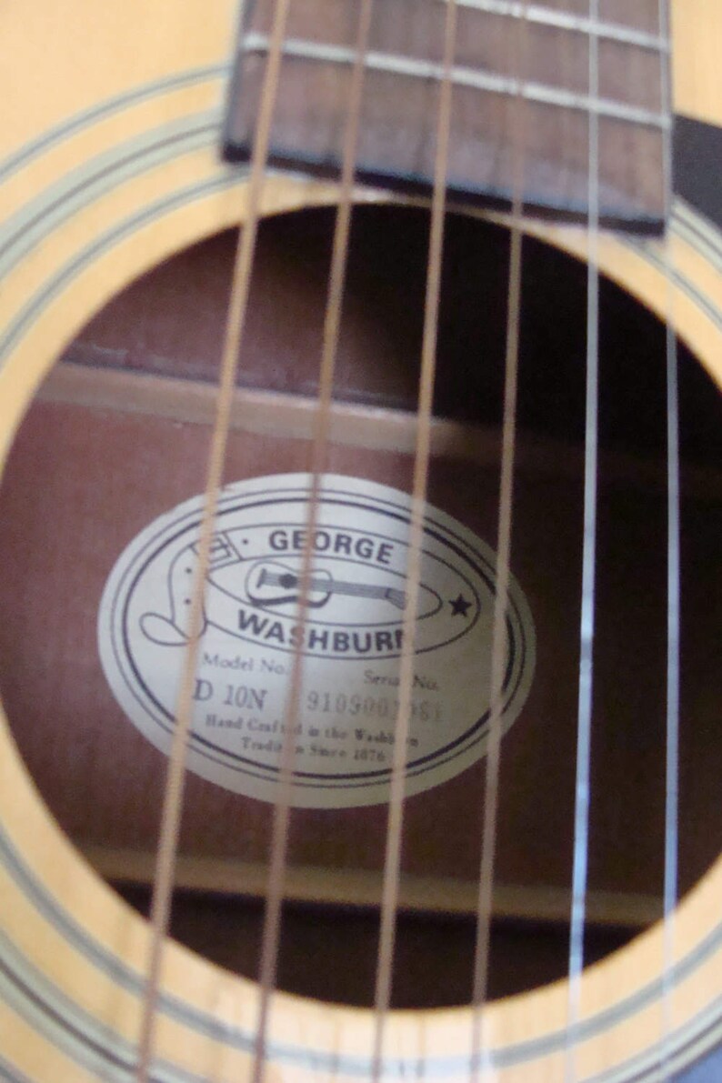 New Additions to Washburn D10N Acoustic Guitar with Etsy