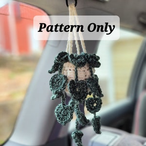 Crochet Car Plant Pothos PATTERN ONLY Pamelambie TikTok