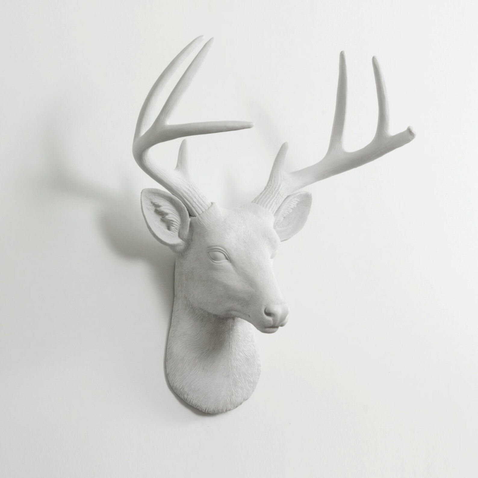 Faux Taxidermy White Deer Head Wall Mount by Wall Charmers™ Etsy