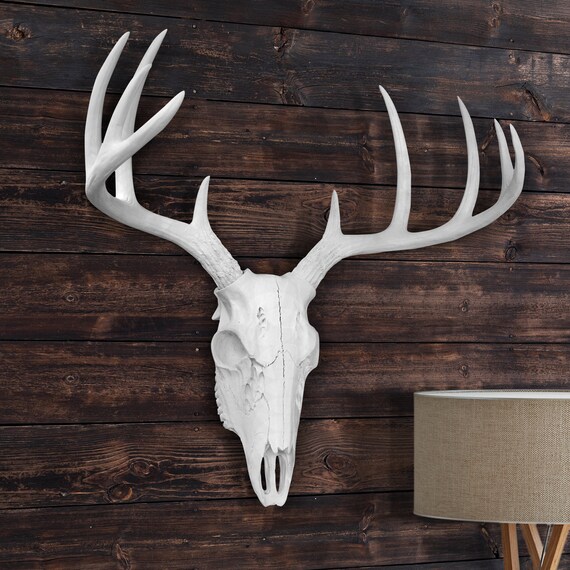 White Deer Skull Wall Charmers Large Faux Taxidermy Faux Etsy
