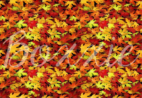 Autumn Leaves Wrapping Paper Sheets Gift Wrap Fall Color | Etsy