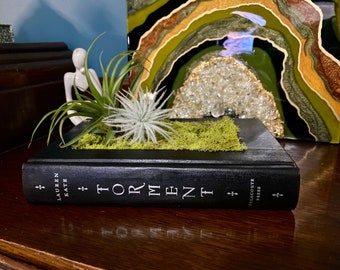 Book Planter | Air Plant Holder | Live Air Plants | Cottagecore | Book Lover