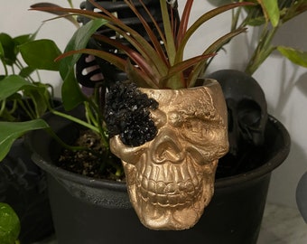 Skull Planter | Gothic Decor | Anatomical | Skull Plant Pot