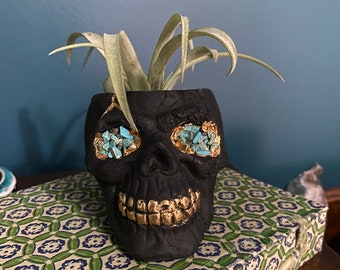 Skull Planter | Head Planter with Turquoise Eyes