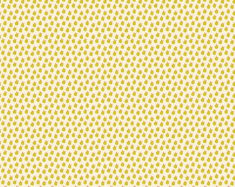 Catnap -- (RS4134 11) Apples in Pistachio by Alexia Marcelle Abegg