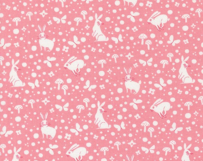 Love Letter by Lizzy House- (37127 20) -- Fat Quarter of Wonder in Light Pink