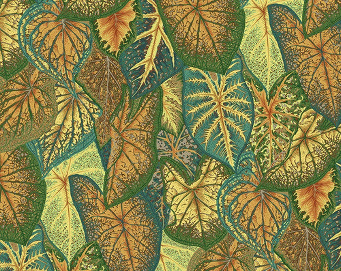 Kaffe Fassett Collective August 2021 -- Fat Quarter of Philip Jacobs Caladiums in Gold