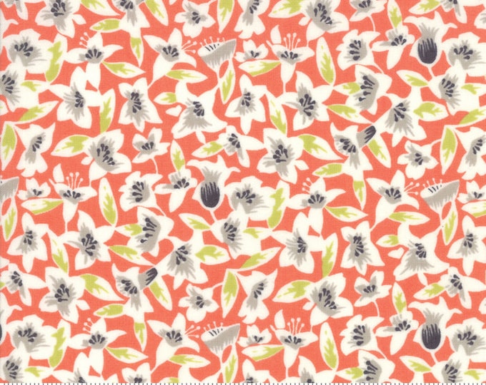 Moda Fine and Sunny by Jen Kingwell -- Fat Quarter of 1817113