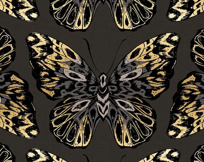 Tiger Fly Canvas by Sarah Watts for Ruby Star Society -- 25cm cut of Tiger Fly in Noir
