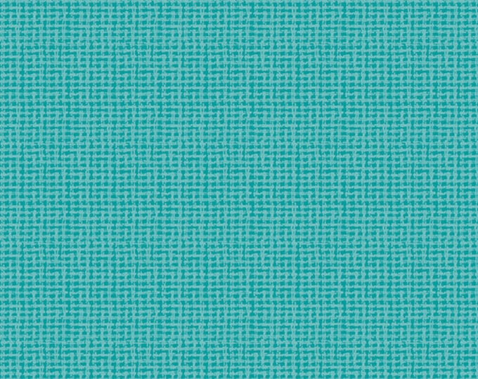 Entwine by Guicy Guice for Andover Fabrics - Fat Quarter of Intersect in Light Teal