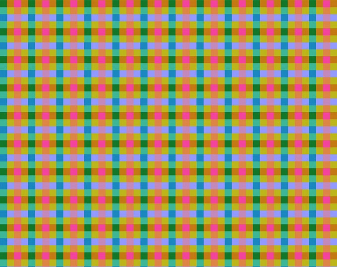 Our Fair Home by Anna Maria Horner -- Fat Quarter of Checkers in Saturday