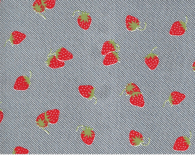 Sunday Stroll -- Strawberries in Navy (5223 15) by Bonnie and Camille for Moda -- Fat Quarter