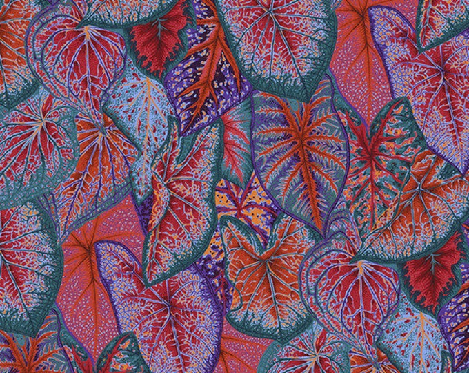 Kaffe Fassett Collective August 2021 -- Fat Quarter of Philip Jacobs Caladiums in Red