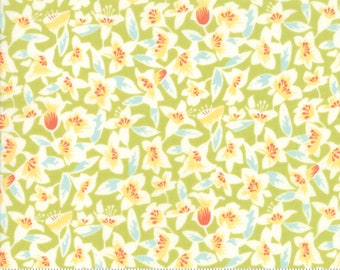 Moda Fine and Sunny by Jen Kingwell -- Fat Quarter of 1817114