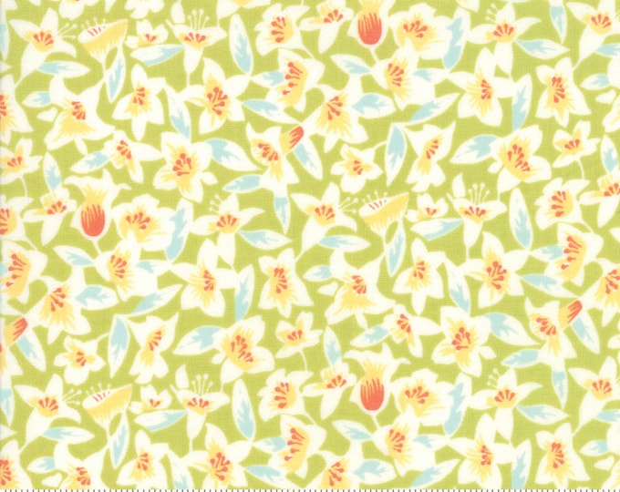 Moda Fine and Sunny by Jen Kingwell -- Fat Quarter of 1817114