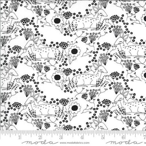 Dwell in Possibility--  (48313 19M) by Gingiber for Moda -- Fat Quarter