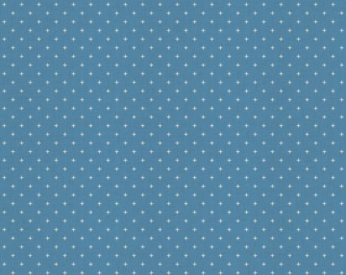 Add It Up by Alexia Marcelle Abegg -- Ruby Star Society Fabric, RS4005-47 Fat Quarter of Add It Up Chambray