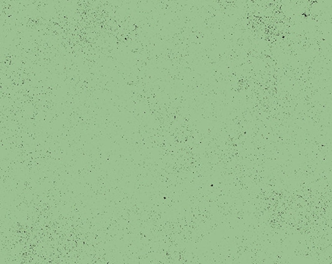 Spectrastatic 2 by Guicy Guice for Andover Fabrics - Fat Quarter in Mint Chocolate Chip - A9248-G6