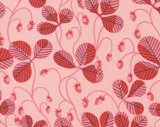 Love Letter by Lizzy House- (37124 20) -- Fat Quarter of Virginia in Light Pink
