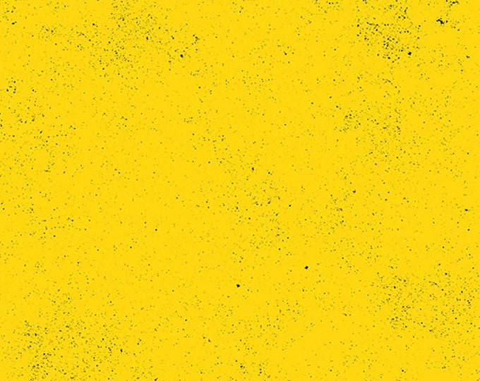 Spectrastatic 2 by Guicy Guice for Andover Fabrics - Fat Quarter in Bicycle - A9248-Y2