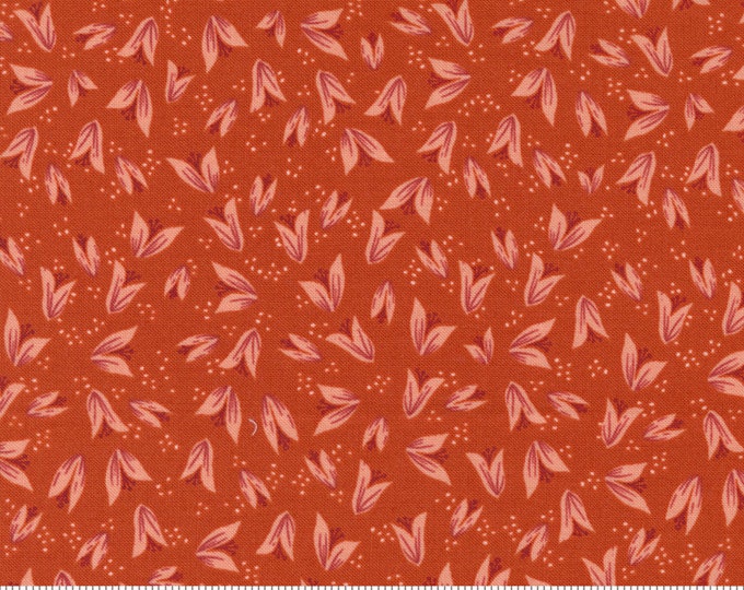 Songbook--  Bud Bloom in Sweet Marmalade (45525 21) by Fancy that Design House for Moda -- Fat Quarter