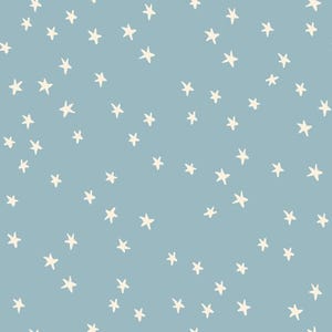 Starry -- (RS4109 84) by Alexia Marcelle Abegg for Ruby Star Society (2025 release)
