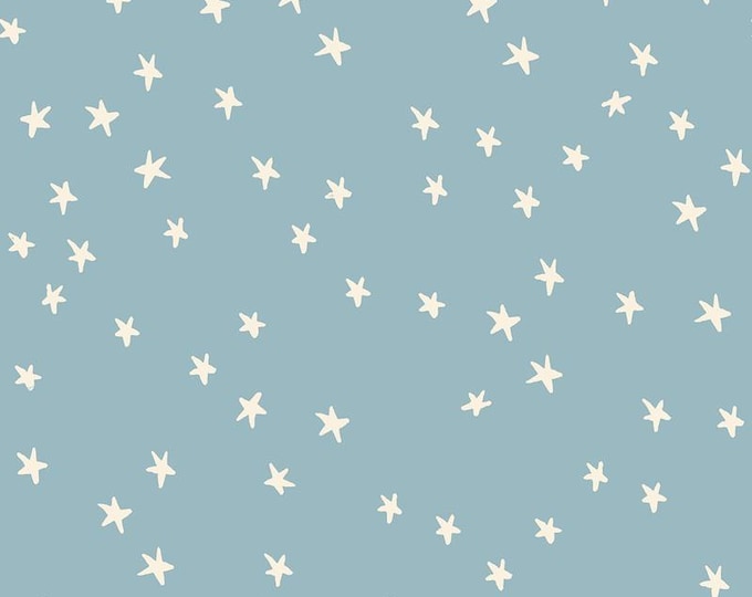 Starry -- (RS4109 84) by Alexia Marcelle Abegg for Ruby Star Society (2025 release)