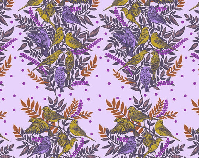 Bright Eyes by Anna Maria Horner Fabrics for Free Spirit Fabrics - Fat quarter of Visitation in Lilac