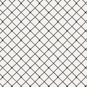Può includere: Un motivo geometrico in bianco e nero con una griglia di linee che si intersecano e piccoli cerchi alle intersezioni.