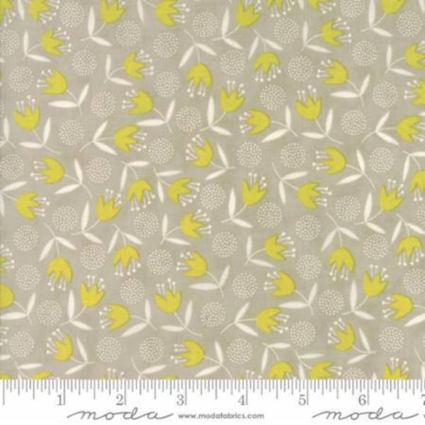 Moda Big Sky Tulip Stone (1670312) by Annie Brady -- Fat Quarter