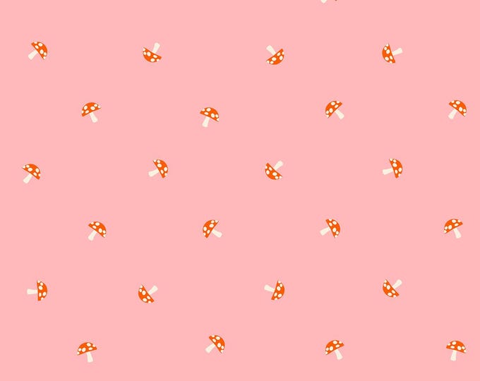 Carousel -- (RS0100 13) by Melody Miller for Ruby Star Society